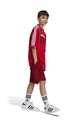 Детская футболка adidas Originals FOOTBALL TEE остальные красный IZ4631