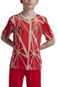 Детская футболка adidas Performance FCB PRESHI JD8333 красный
