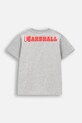 Dětské tričko Coccodrillo ZC4143211LBD šedá AW24