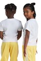 Дитяча бавовняна футболка adidas Originals TREFOIL TEE JE0518 білий