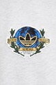 Хлопковая футболка adidas Originals IZ2551 серый