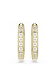 Náušnice Swarovski DEXTERA 5724584 zlatá AW25