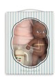 Игрушка для ванны Konges Sløjd BATH BUDDY мультиколор KS104217.9BYA