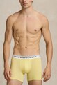 Polo Ralph Lauren bokserki 714830300. multicolor