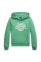 Кофта Polo Ralph Lauren с капюшоном зелёный 323971334001