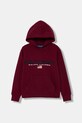 Детская кофта Polo Ralph Lauren с капюшоном бордо 323962111010