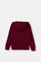 Детская кофта Polo Ralph Lauren 323962111010 бордо AW25