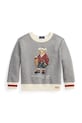 Детская кофта Polo Ralph Lauren 322981263001 серый AW25