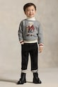 Детская кофта Polo Ralph Lauren серый 322981263001