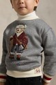 Παιδική μπλούζα Polo Ralph Lauren 322981263001 γκρί