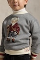 Детская кофта Polo Ralph Lauren 322981263001 серый
