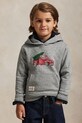 Παιδική μπλούζα από βαμβάκι Polo Ralph Lauren στάμπα γκρί 322981325001