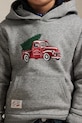 Polo Ralph Lauren felpa per bambini con cotone 322981325001 grigio