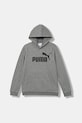 Παιδική μπλούζα Puma ESS No. 1 Logo Hoodie FL B 684908 γκρί AW25