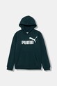 Puma bluza dziecięca ESS No. 1 Logo Hoodie FL B z kapturem zielony 684908
