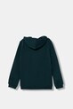 Puma bluza dziecięca ESS No. 1 Logo Hoodie FL B 684908 zielony AW25