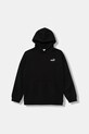 Dětská mikina Puma ESS Small No. 1 Logo Relaxed Hoodie FL B s kapucí černá 684921