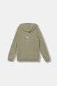 Puma bluza dziecięca PUMA CLASS Graphic Hoodie TR B 688852 zielony AW25