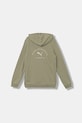 Παιδική μπλούζα Puma PUMA CLASS Graphic Hoodie TR B 688852 πράσινο AW25