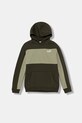 Puma bluza dziecięca ESS BLOCK Small Logo Hoodie FL B wzorzyste zielony 690784
