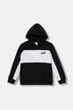 Puma bluza dziecięca ESS BLOCK Small Logo Hoodie FL B wzorzyste czarny 690784