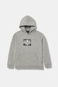 Pulover Vans Vans Mouf Pullover S kapuco siva VN000PXC02F1