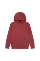 Levi's bluza dziecięca MINI BATWING HOODIE z kapturem czerwony 8EL452.B