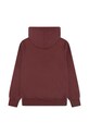 Levi's bluza dziecięca SADDLE MAN HOODIE 8EN717 bordowy AW25