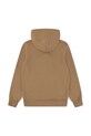 Παιδική μπλούζα Levi's BATWING SCREENPRINT HOODIE 9E8778.B καφέ AW25