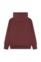 Levi's bluza dziecięca SADDLE MAN HOODIE 9EN717 bordowy AW25