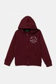 Otroški bombažen pulover United Colors of Benetton S kapuco bordo 3J68C505C.G.seasonal