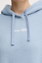 Кофта Tommy Hilfiger WW0WW47459 голубой