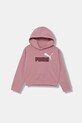 Παιδική μπλούζα Puma ESS 2 COLOR No. 1 Logo? Short Length Hoodie TR G με κουκούλα ροζ 686072