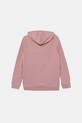Puma bluza dziecięca ESS SCRIPT Hoodie FL G 688728 różowy AW25
