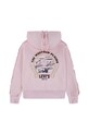 Παιδική μπλούζα Levi's PULLOVER HOODIE WITH RUFFL 3EN426 ροζ AW25