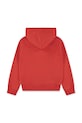 Levi's bluză copii BATWING PATCH HOODIE 4EN447 rosu AW25