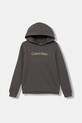 Дитяча бавовняна кофта Calvin Klein Jeans бавовна сірий IU0IU00679.128.170.9BYA