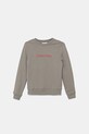 Дитяча бавовняна кофта Calvin Klein Jeans гладкий сірий IU0IU00680.9BYA