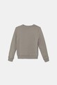 Дитяча бавовняна кофта Calvin Klein Jeans IU0IU00680.9BYA сірий AW25