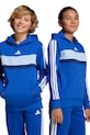 Детская кофта adidas с капюшоном голубой JC7481