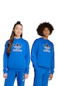 adidas Originals bluza dziecięca aplikacja niebieski JV8570