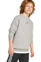 Детски суичър adidas Originals JW1089
