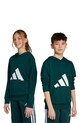 adidas bluză copii print verde JW3461