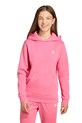 Хлопчик Дитяча кофта adidas Originals JX2740 рожевий