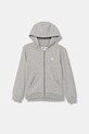 Детская кофта adidas Originals с капюшоном серый JX2790