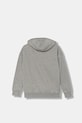 Băieți adidas Originals bluză copii JX2797 gri