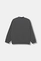 Băieți adidas Originals bluză copii JX3882 gri