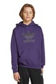 Κοριτσίστικα Παιδική μπλούζα adidas Originals JV8653 μωβ