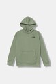 Παιδική μπλούζα The North Face TEEN BOX NSE REGULAR HOODIE με κουκούλα πράσινο NF0A89H9DI21