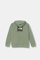 Παιδική μπλούζα The North Face TEEN BOX NSE REGULAR HOODIE NF0A89H9DI21 πράσινο AW25